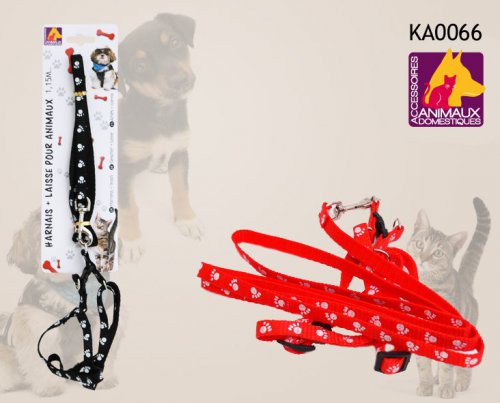 ka0066.jpg