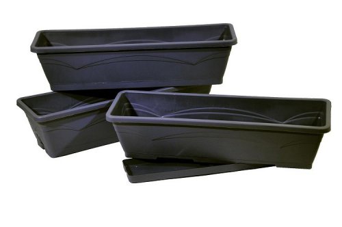 g3086960203474.jpg