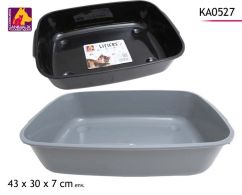mini2-ka0527.jpg