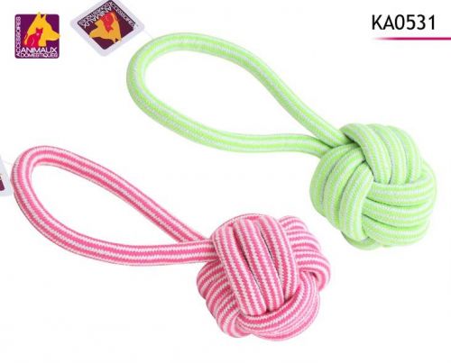 ka0531.jpg